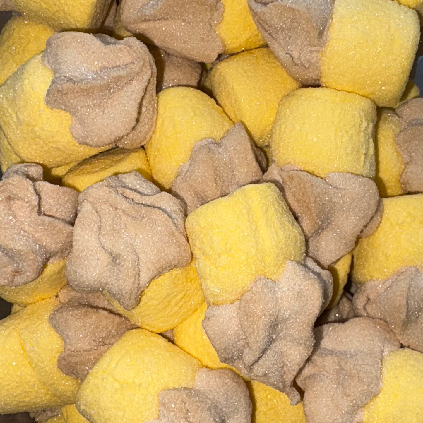 Cupcake Fourré Chocolat (Lot de 5)