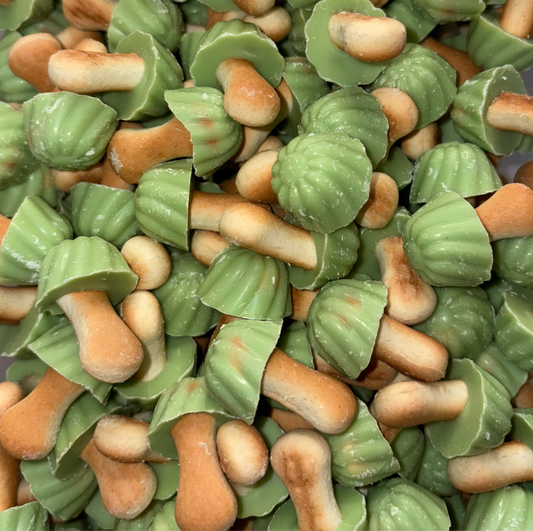 Champignons Pistache (Lot de 10)