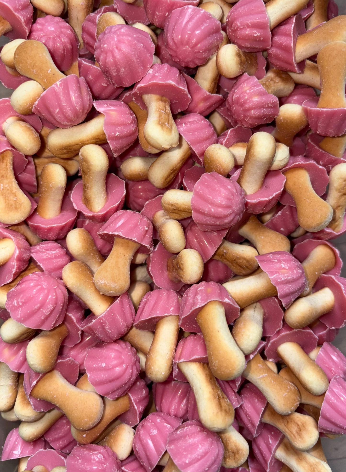 Champignons Fraise (Lot de 10)