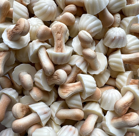 Champignons Chocolat-Blanc (Lot de 10)