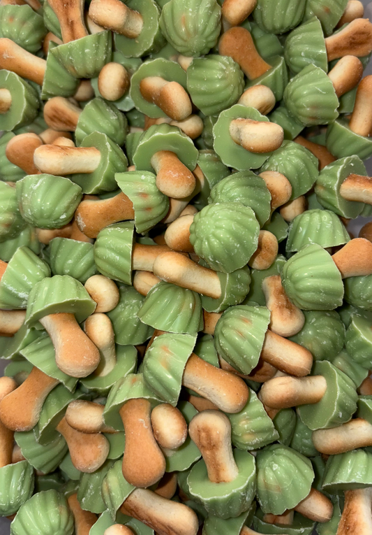 Champignons Pistache (Lot de 10)