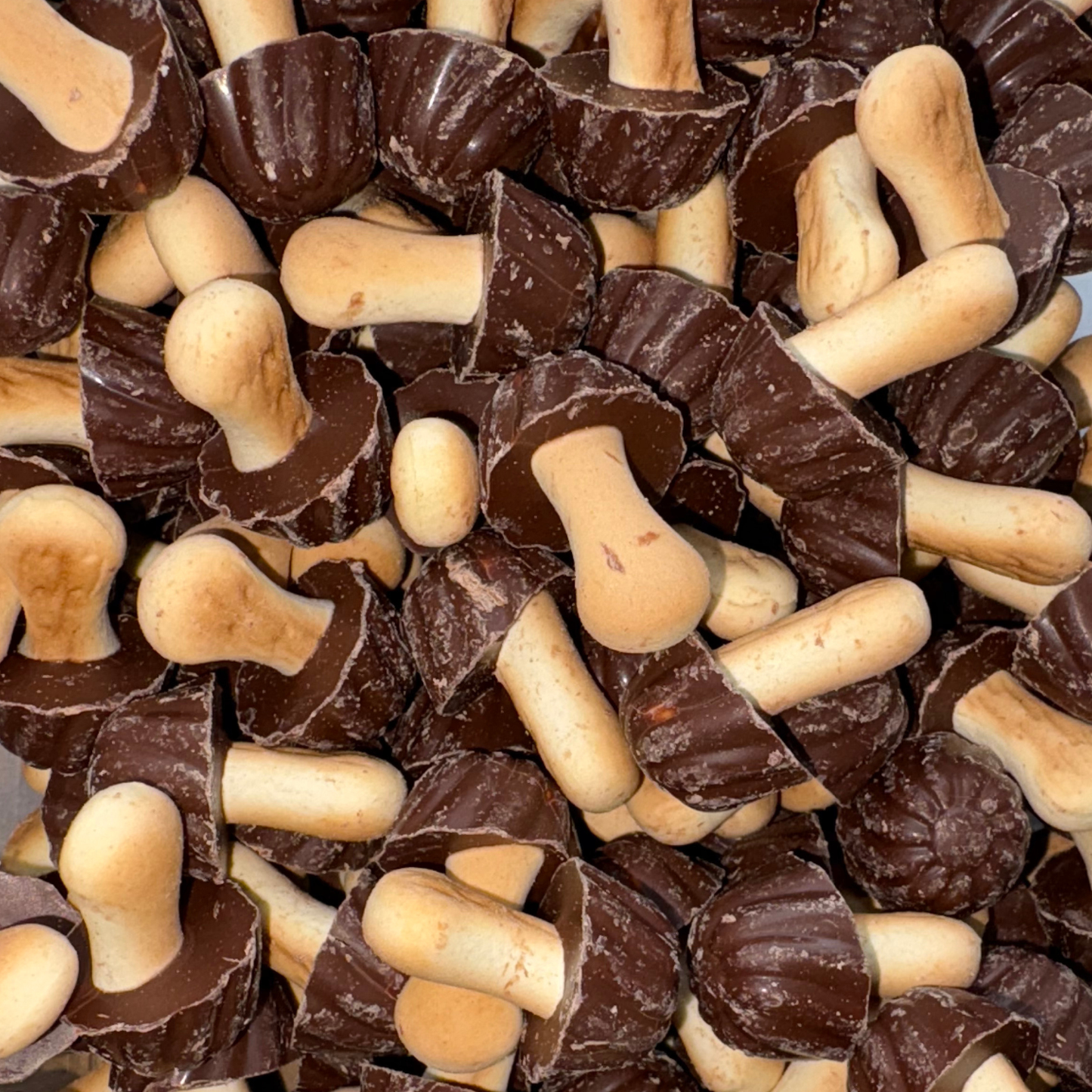 Champignons Chocolat (Lot de 10)