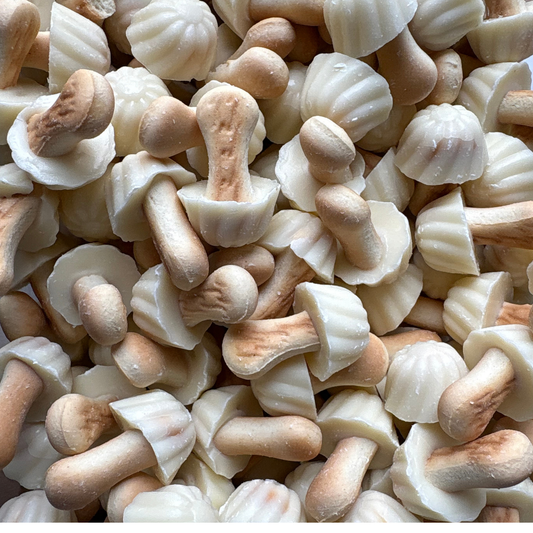 Champignons Chocolat-Blanc (Lot de 10)