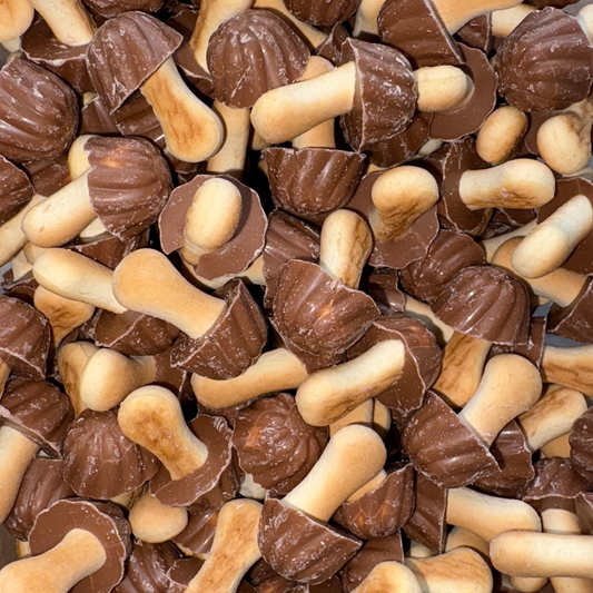 Champignons Chocolat-Caramel (Lot de 10)