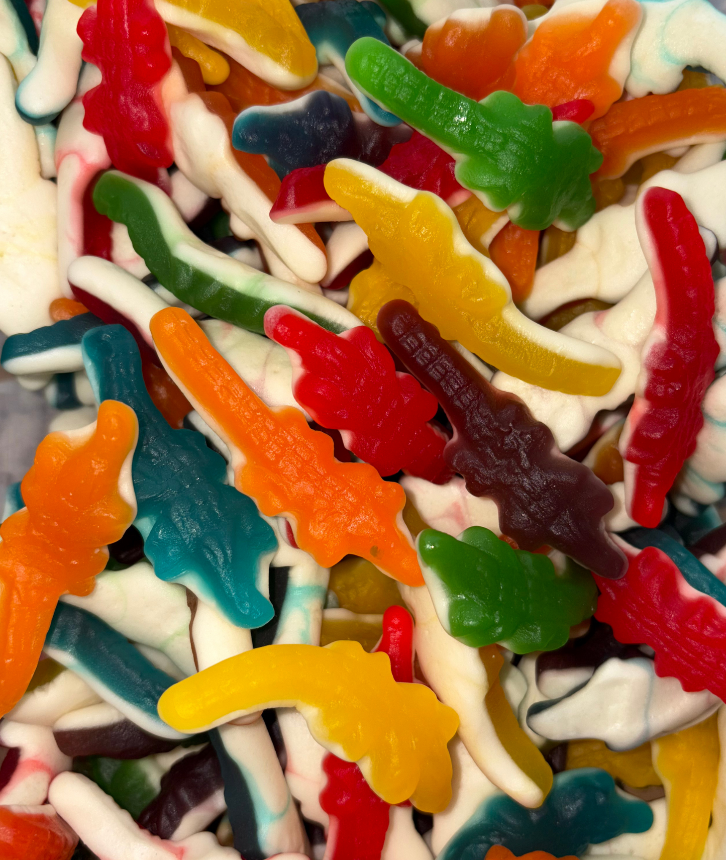 Crocodile Lisse (100g)