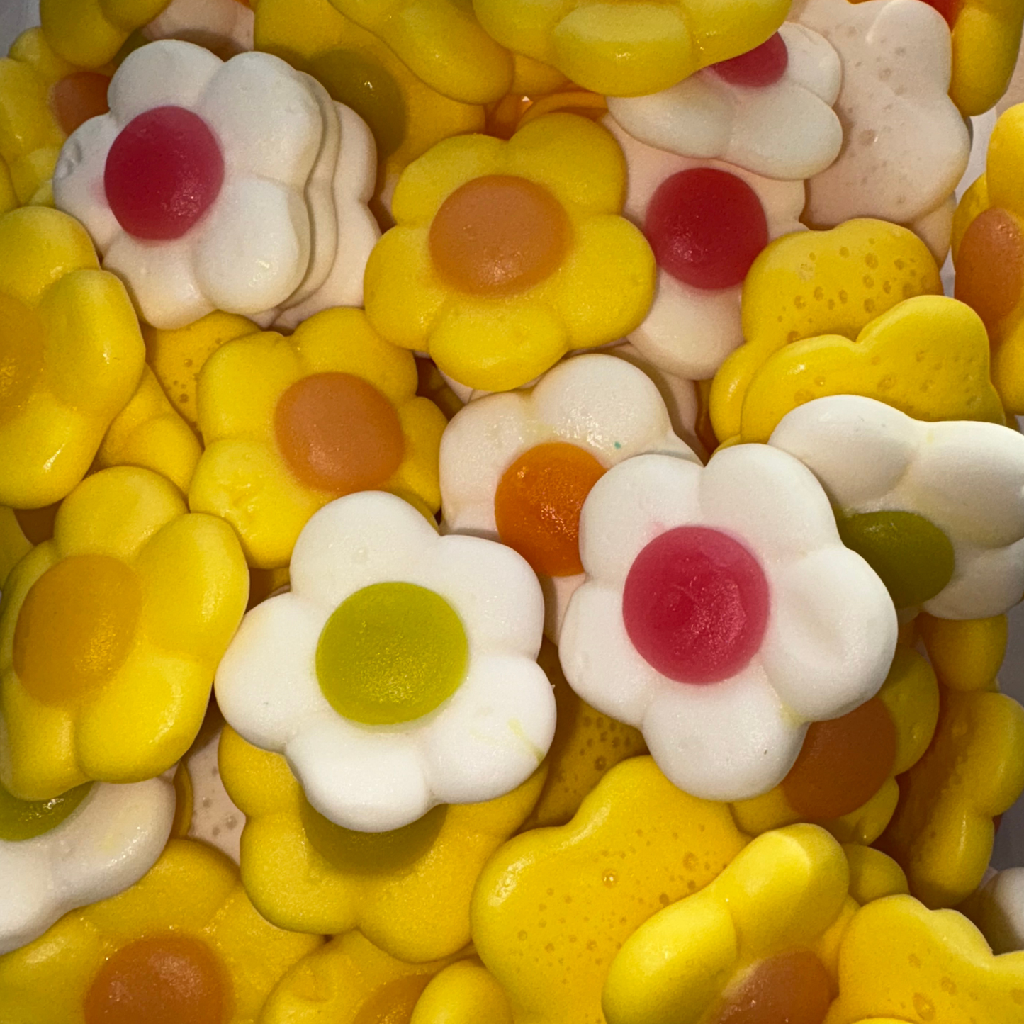 Marguerites Daisies (100g)