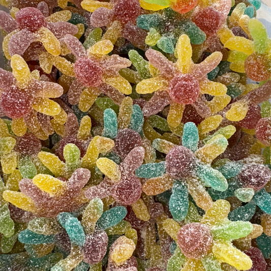 Octopus Sucré (100g)