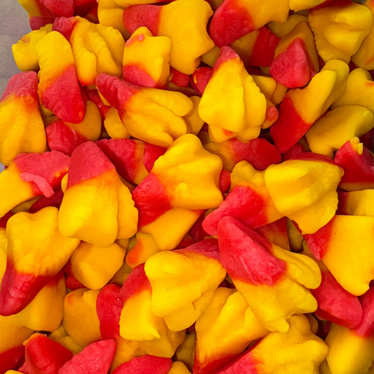 Patte de Poulet (100g)