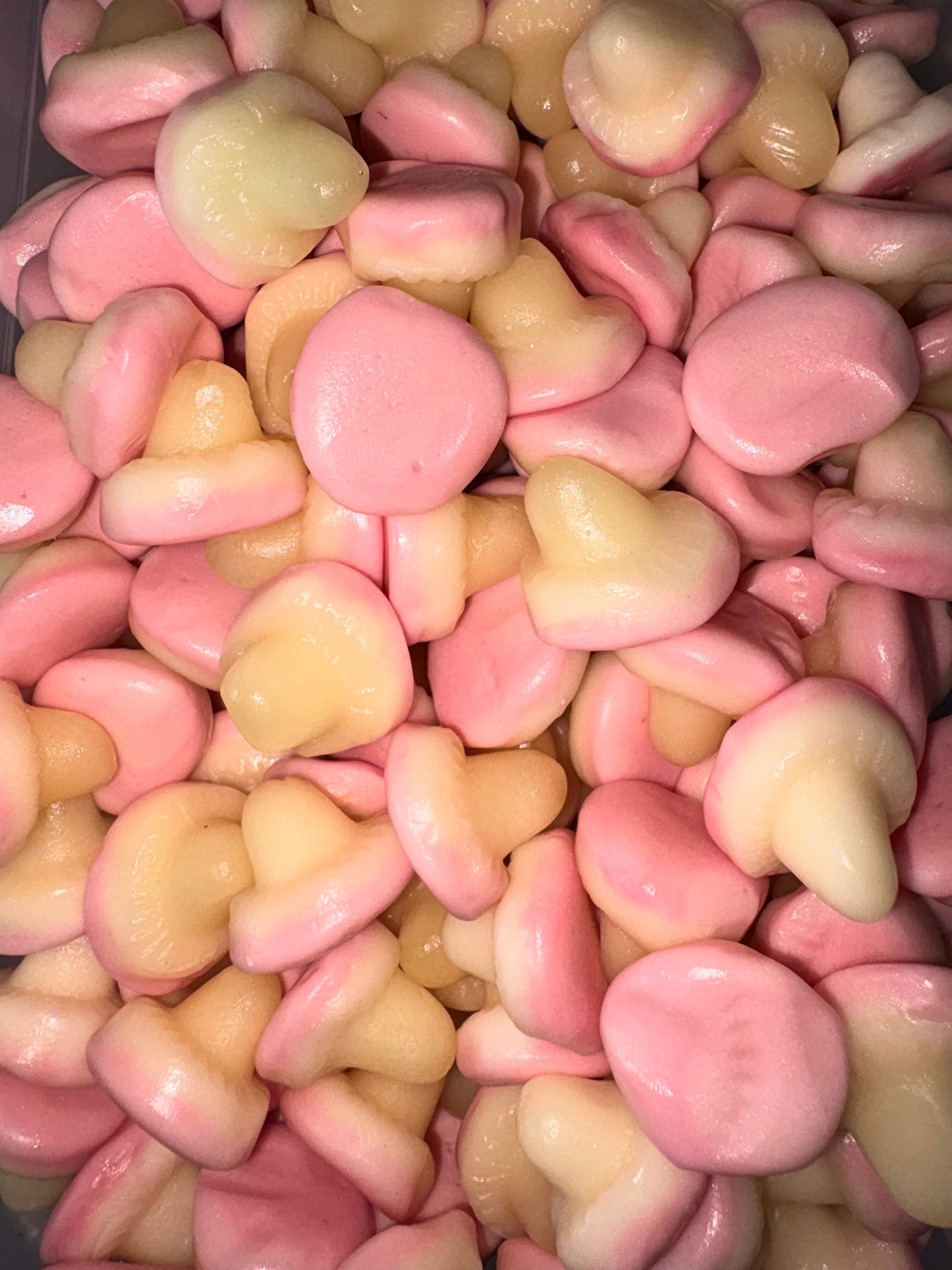 Champignons Lisse Fraise/Crème (100g)
